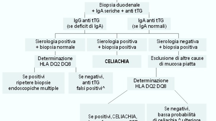 Celiachia e deficit di IgA