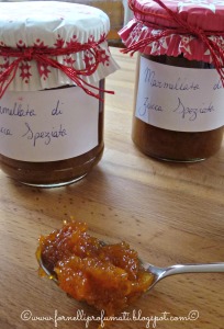 marmellata di zucca - Gluten Free Travel and Living