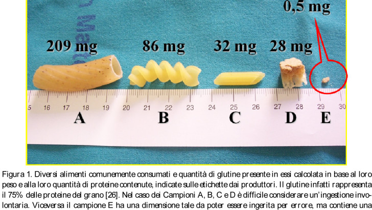 Quanto glutine in una briciola di pane?