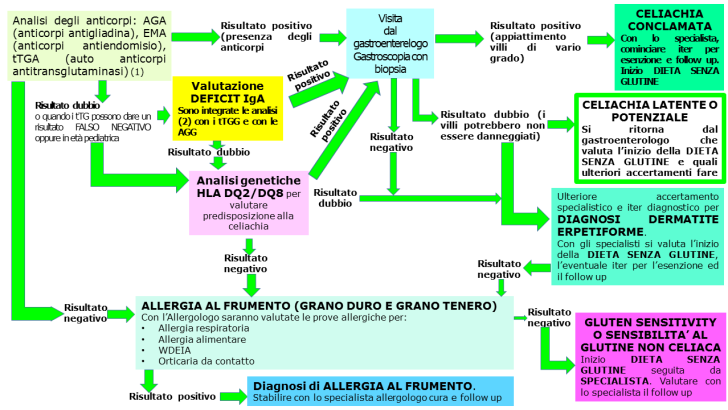 Celiachia gluten sensitivity e diagnosi