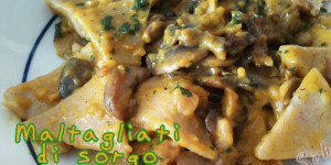 Maltagliati di sorgo e riso veg con funghi e zafferano