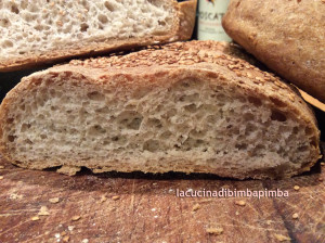 ciabatta integrale  - Gluten Free Travel & Living