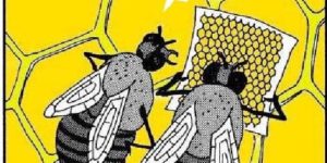 10 ragioni per amare le api oltre al miele