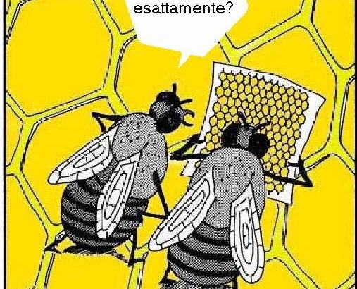 10 ragioni per amare le api oltre al miele