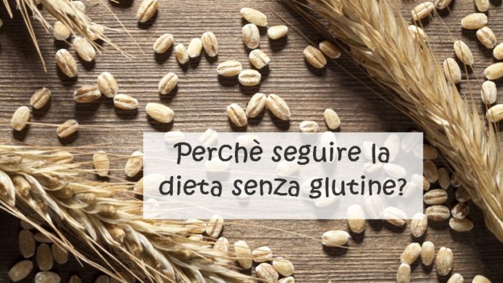 Aristotele e la dieta senza glutine